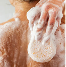 Load image into Gallery viewer, Sweet Grace Body Wash Sponge