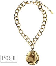 Load image into Gallery viewer, The Medallion Necklace
