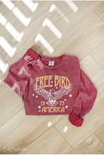 Load image into Gallery viewer, FreeBird Mineral Wash Long Sleeve Tee
