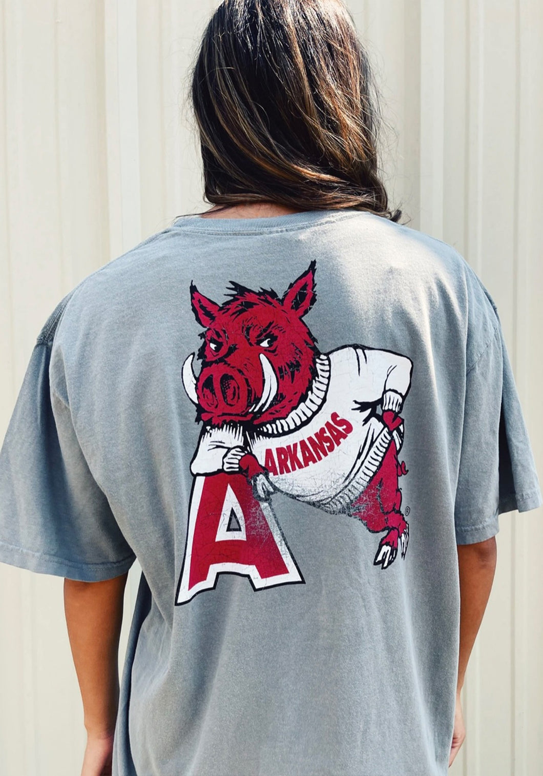 Hog Leaning on A Grey Tee