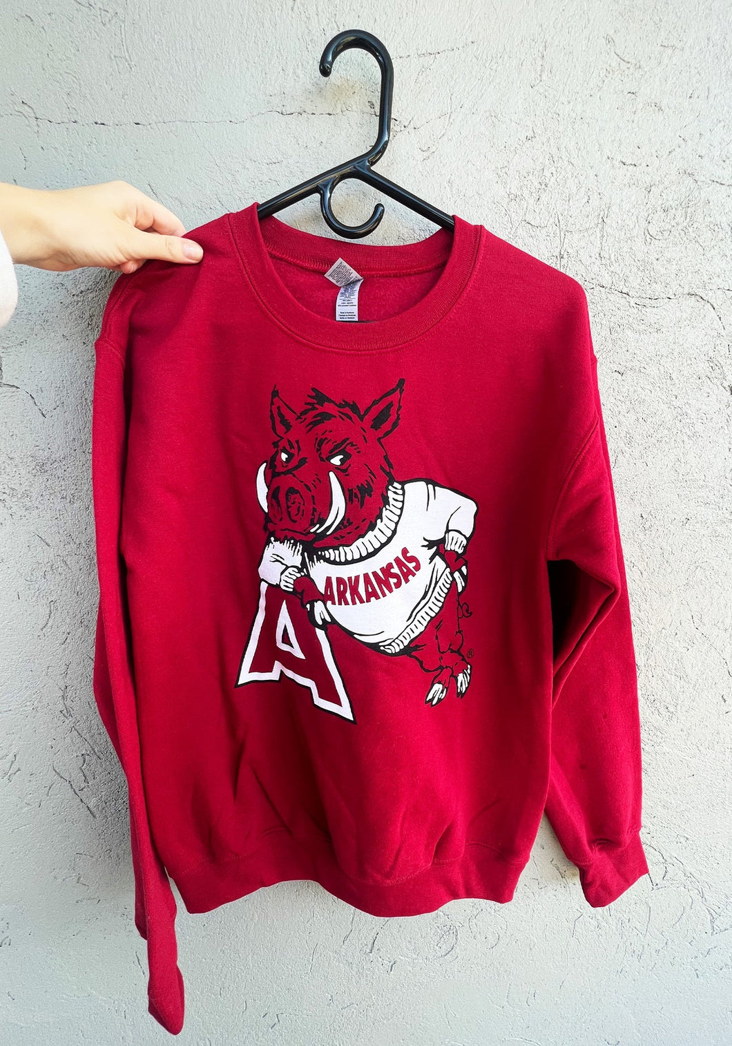 Hog on A Sweatshirt