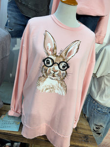 Einstein Bunny HiLow Pullover